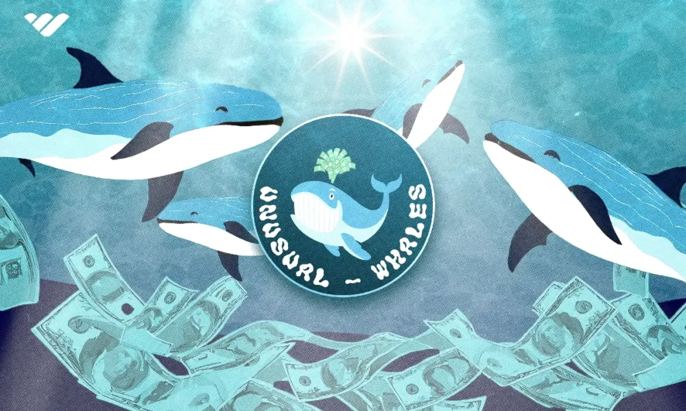 Unusual Whales review