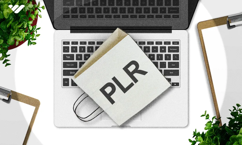 9 best free PLR digital products that you can resell for profit
