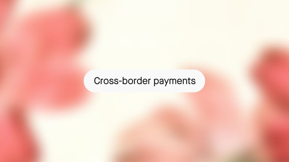 Cross border payments: a guide for platforms and marketplaces